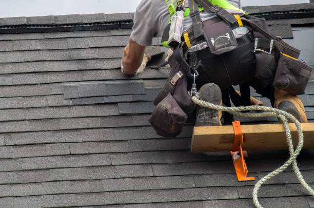 Best Roof Gutter Cleaning  in Santa Cruz, CA