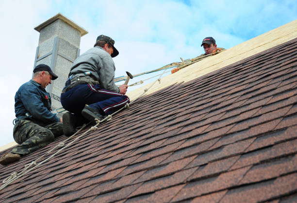 Quick and Trustworthy Emergency Roof Repair Services in Santa Cruz, CA