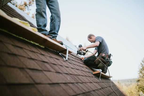 Best Gutter Installation and Roofing  in Santa Cruz, CA